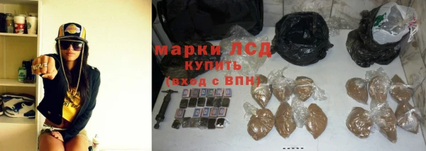 крисы Дмитров