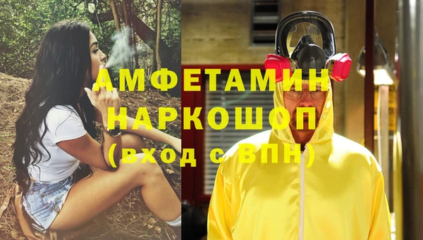 МДПВ Дмитриев