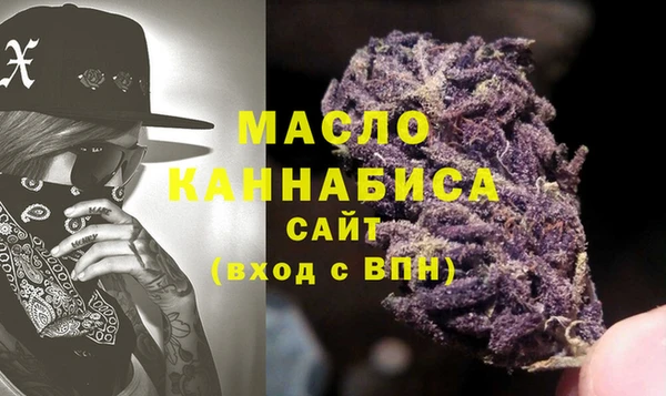 МДПВ Дмитриев