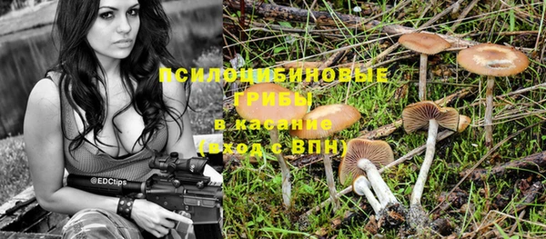 МДПВ Дмитриев