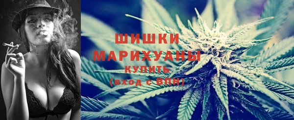 крисы Дмитров
