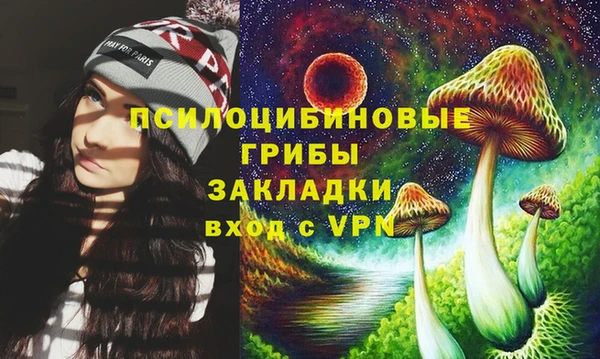 МДПВ Дмитриев