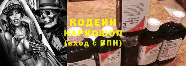 МДПВ Дмитриев