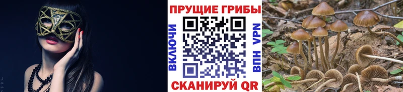 Купить закладки  Ишимбай  Галлюциногенные грибы ЛСД 