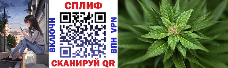 Каннабис OG Kush  Купить  Ишимбай 